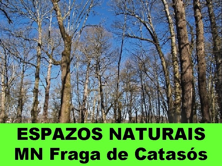 ESPAZOS NATURAIS MN Fraga de Catasós 