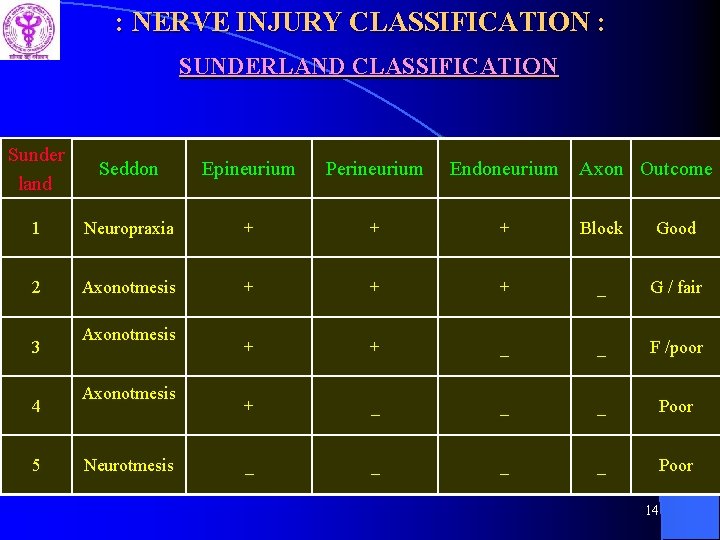 : NERVE INJURY CLASSIFICATION : SUNDERLAND CLASSIFICATION Sunder land Seddon Epineurium Perineurium Endoneurium 1