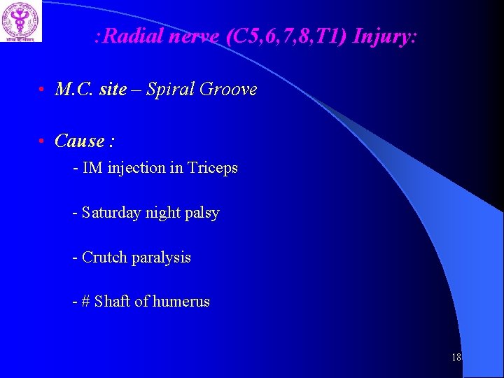 : Radial nerve (C 5, 6, 7, 8, T 1) Injury: • M. C.