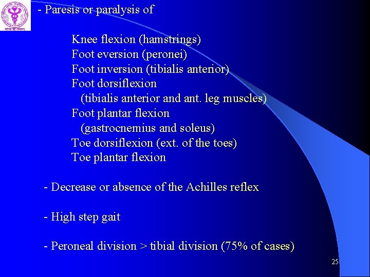 - Paresis or paralysis of Knee flexion (hamstrings) Foot eversion (peronei) Foot inversion (tibialis