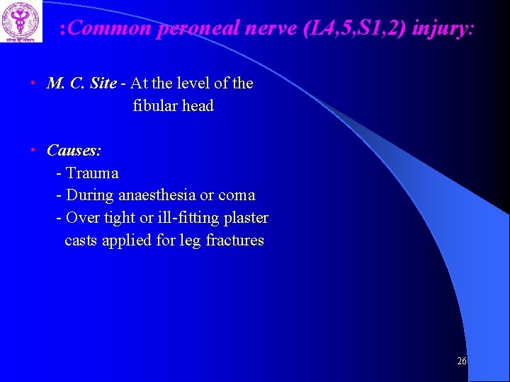 : Common peroneal nerve (L 4, 5, S 1, 2) injury: • M. C.