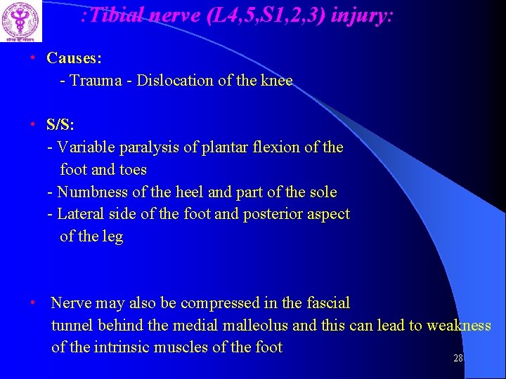 : Tibial nerve (L 4, 5, S 1, 2, 3) injury: • Causes: -