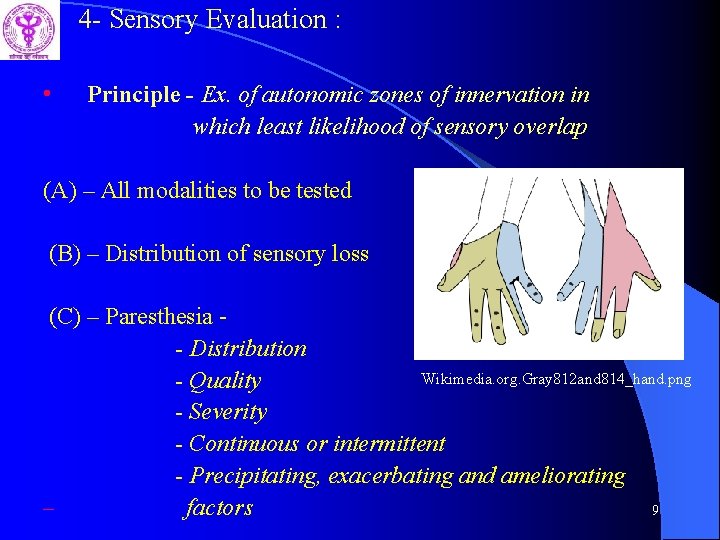 4 - Sensory Evaluation : • Principle - Ex. of autonomic zones of innervation