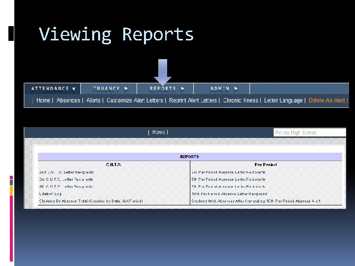 Viewing Reports 