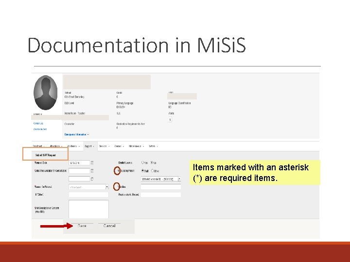 Documentation in Mi. S Items marked with an asterisk (*) are required items. 