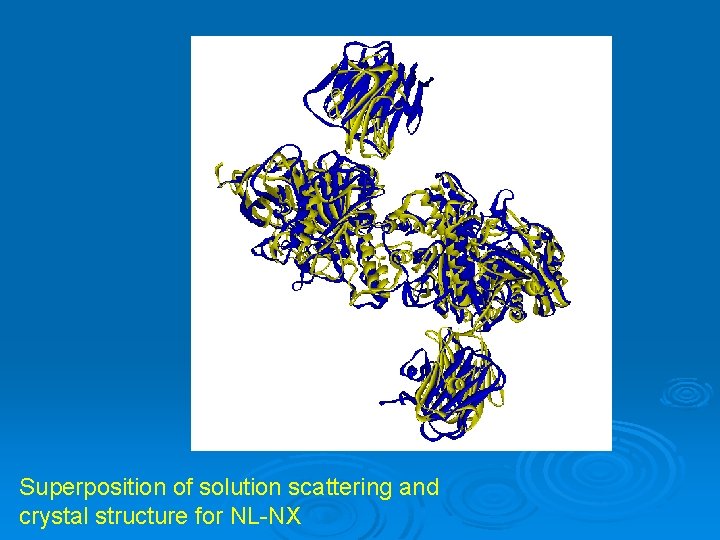 Superposition of solution scattering and crystal structure for NL-NX 