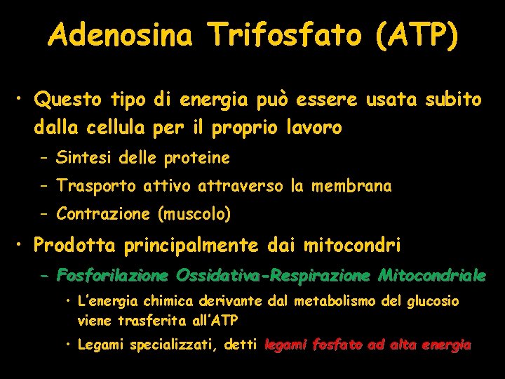 Adenosina Trifosfato (ATP) • Questo tipo di energia può essere usata subito dalla cellula