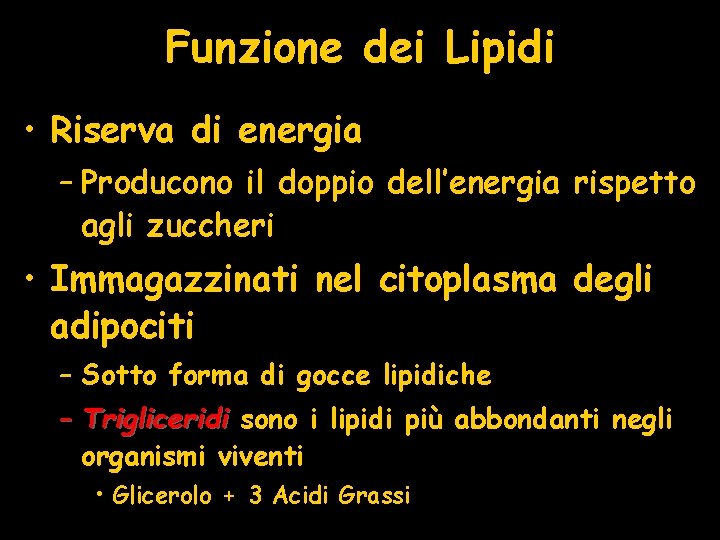 Funzione dei Lipidi • Riserva di energia – Producono il doppio dell’energia rispetto agli
