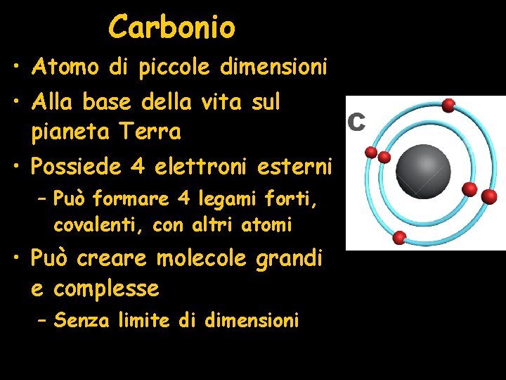 Carbonio • Atomo di piccole dimensioni • Alla base della vita sul pianeta Terra