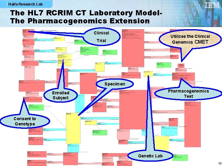 Haifa Research Lab The HL 7 RCRIM CT Laboratory Model. The Pharmacogenomics Extension Clinical