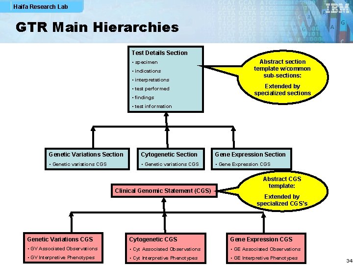 Haifa Research Lab GTR Main Hierarchies Test Details Section • specimen • indications •