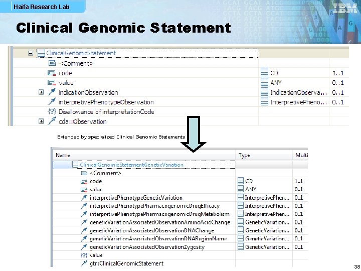 Haifa Research Lab Clinical Genomic Statement Extended by specialized Clinical Genomic Statements 38 