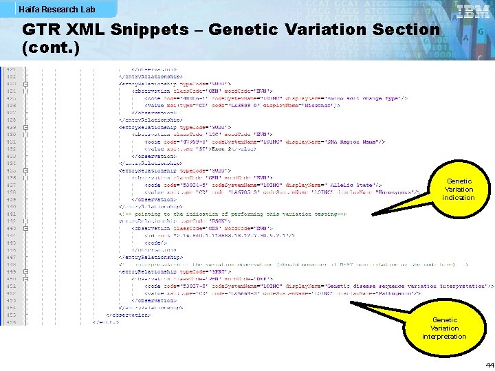Haifa Research Lab GTR XML Snippets – Genetic Variation Section (cont. ) Genetic Variation