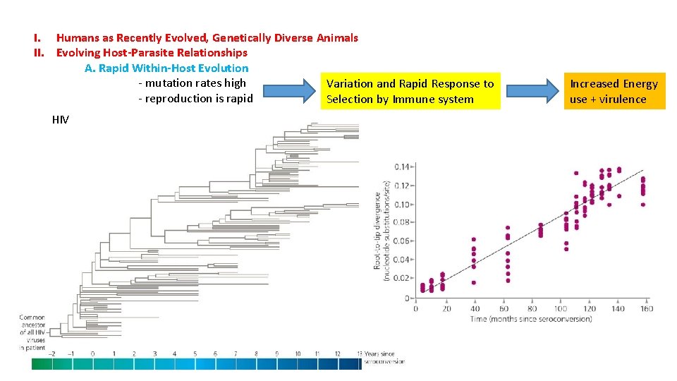 I. Humans as Recently Evolved, Genetically Diverse Animals II. Evolving Host-Parasite Relationships A. Rapid