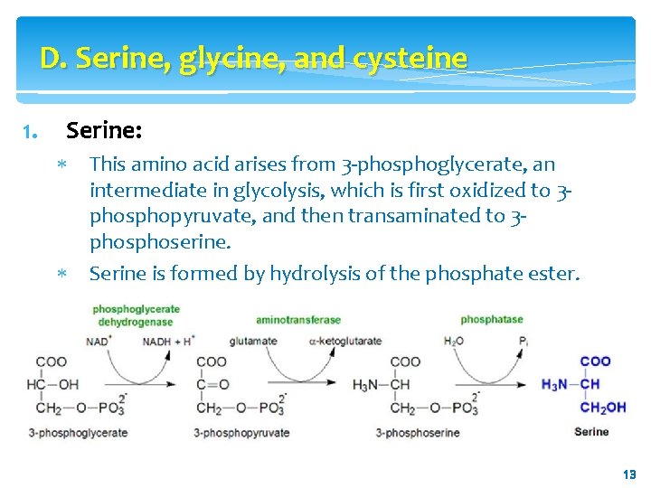 D. Serine, glycine, and cysteine 1. Serine: This amino acid arises from 3 -phosphoglycerate,