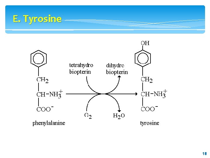 E. Tyrosine 18 18 