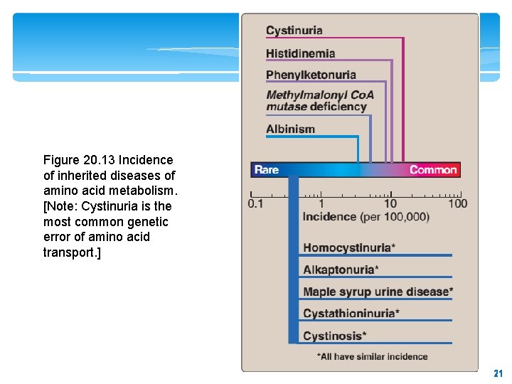 Figure 20. 13 Incidence of inherited diseases of amino acid metabolism. [Note: Cystinuria is