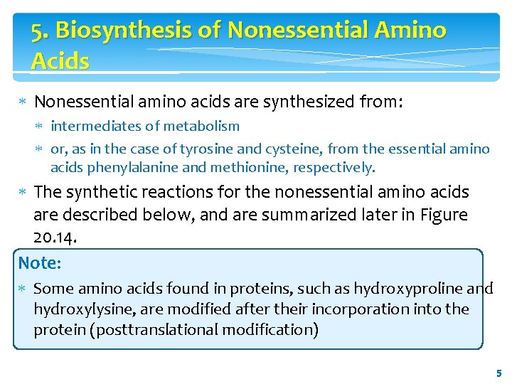 5. Biosynthesis of Nonessential Amino Acids Nonessential amino acids are synthesized from: intermediates of