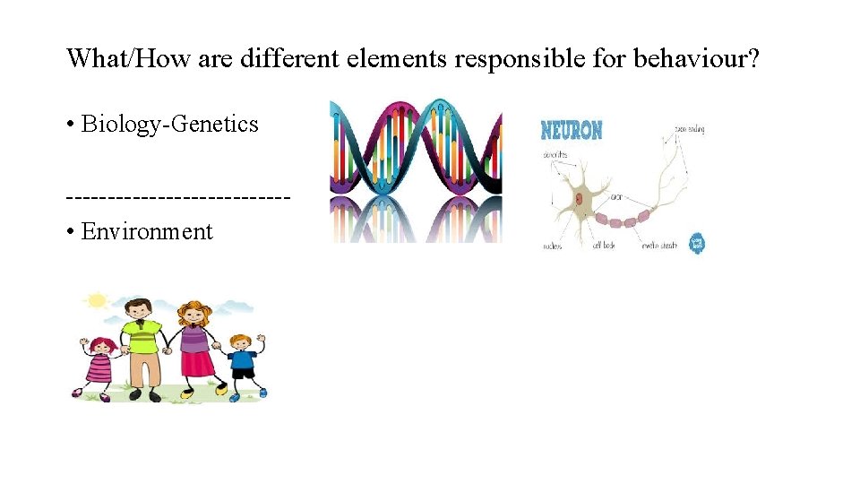 What/How are different elements responsible for behaviour? • Biology-Genetics ------------- • Environment 