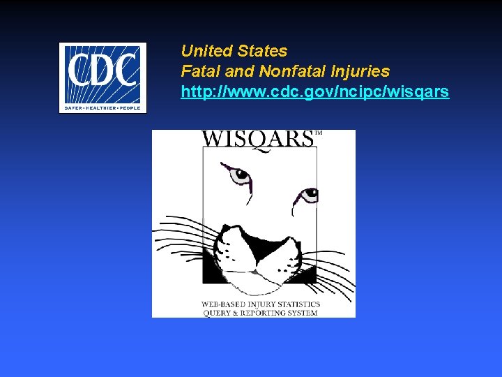 United States Fatal and Nonfatal Injuries http: //www. cdc. gov/ncipc/wisqars 