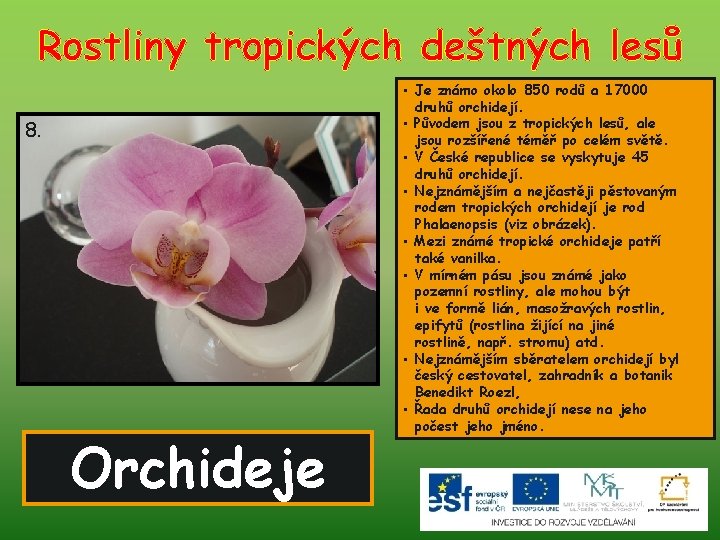 Rostliny tropických deštných lesů 8. Orchideje • Je známo okolo 850 rodů a 17000