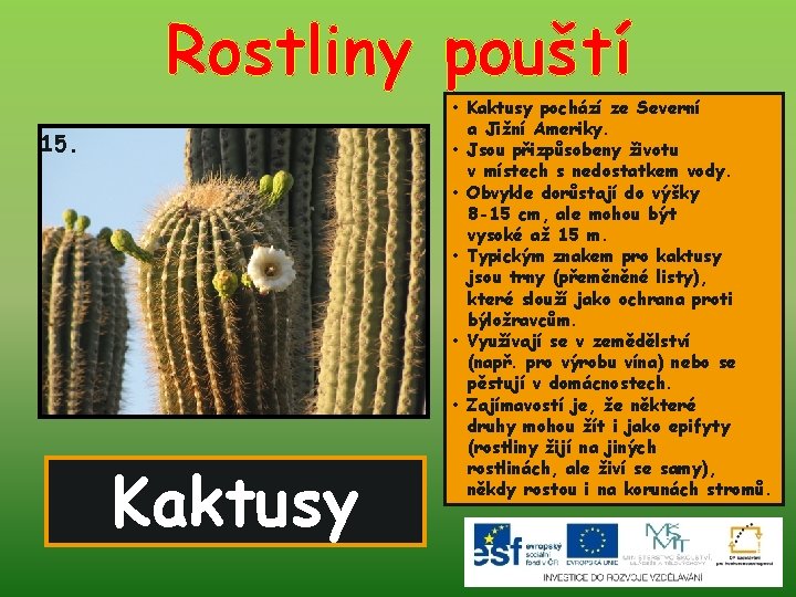 Rostliny pouští 15. Kaktusy • Kaktusy pochází ze Severní a Jižní Ameriky. • Jsou