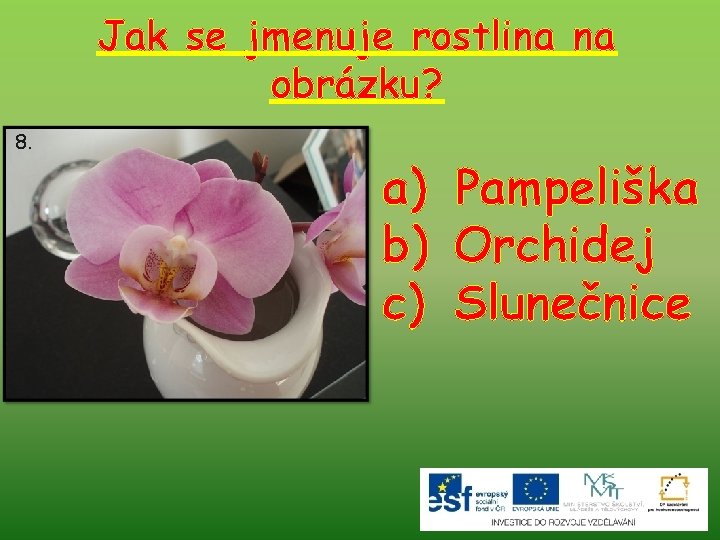 Jak se jmenuje rostlina na obrázku? 8. a) Pampeliška b) Orchidej c) Slunečnice 