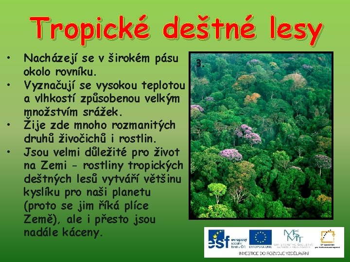 Tropické deštné lesy • • Nacházejí se v širokém pásu 3. okolo rovníku. Vyznačují