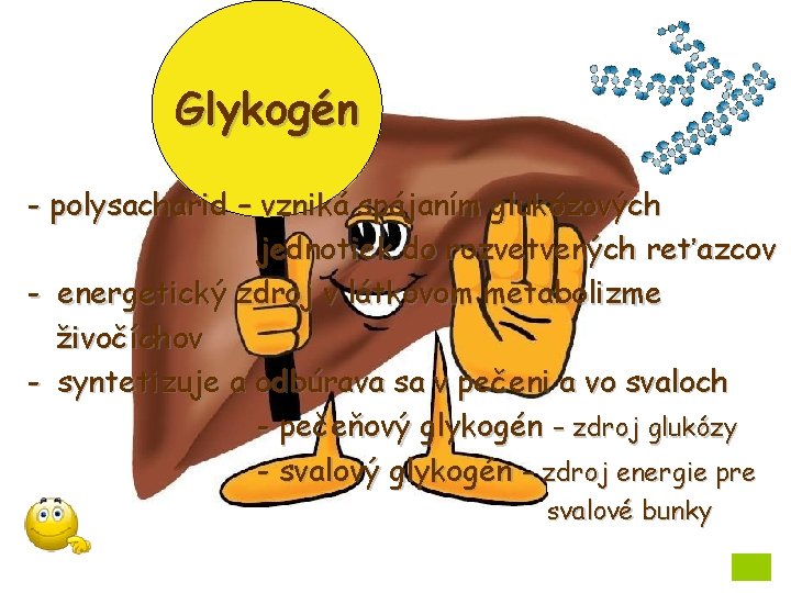 Glykogén - polysacharid – vzniká spájaním glukózových jednotiek do rozvetvených reťazcov - energetický zdroj