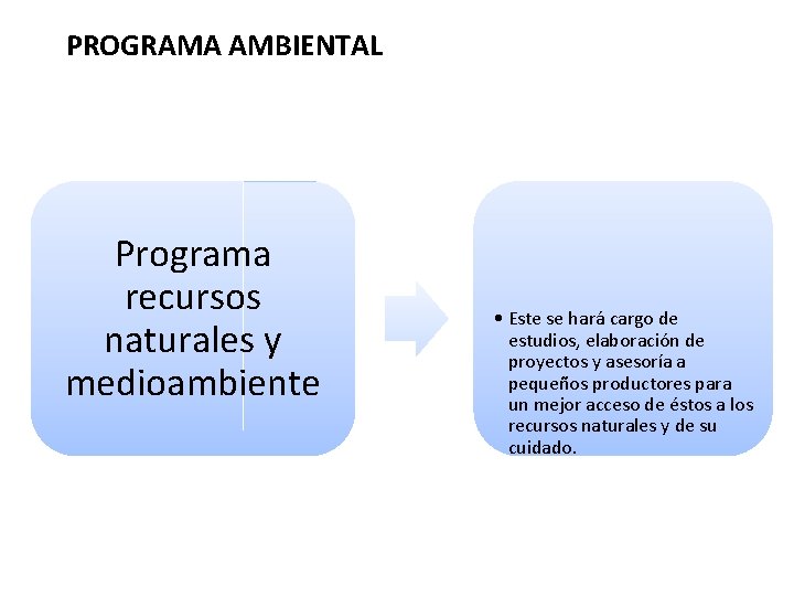 PROGRAMA AMBIENTAL Programa recursos naturales y medioambiente • Este se hará cargo de estudios,