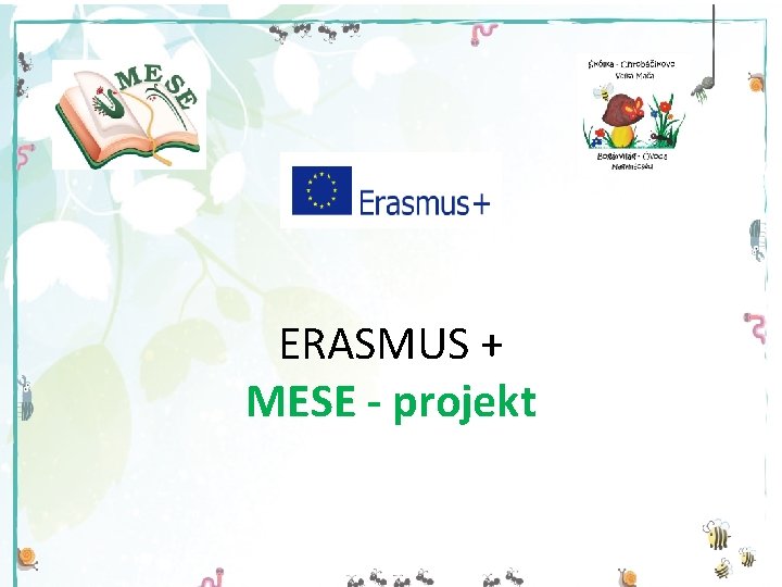 ERASMUS + MESE - projekt 