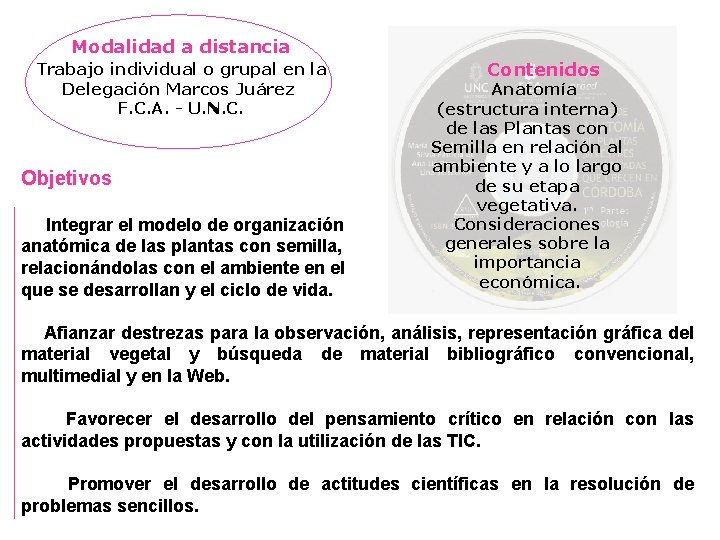 Modalidad a distancia Trabajo individual o grupal en la Delegación Marcos Juárez F. C.