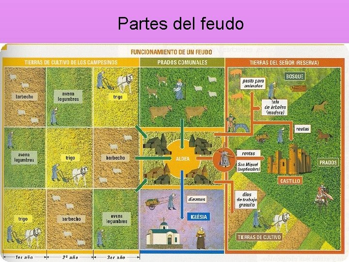 Partes del feudo 