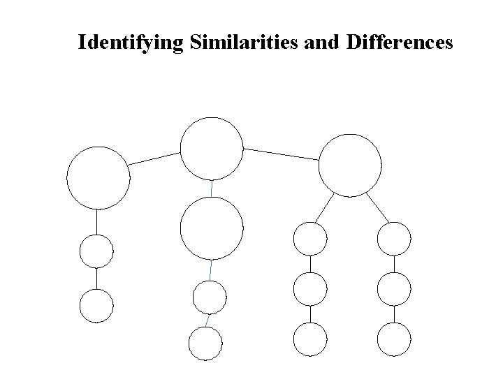 Identifying Similarities and Differences 