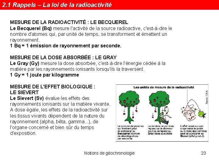 2. 1 Rappels – La loi de la radioactivité MESURE DE LA RADIOACTIVITÉ :