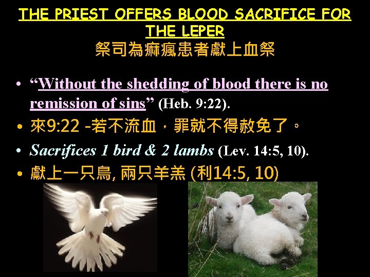 THE PRIEST OFFERS BLOOD SACRIFICE FOR THE LEPER 祭司為痲瘋患者獻上血祭 • “Without the shedding of