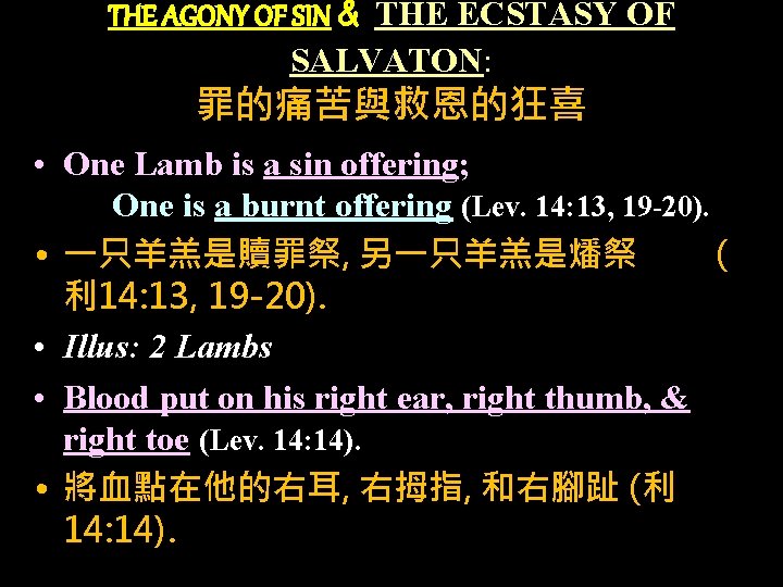 THE AGONY OF SIN & THE ECSTASY OF SALVATON: 罪的痛苦與救恩的狂喜 • One Lamb is