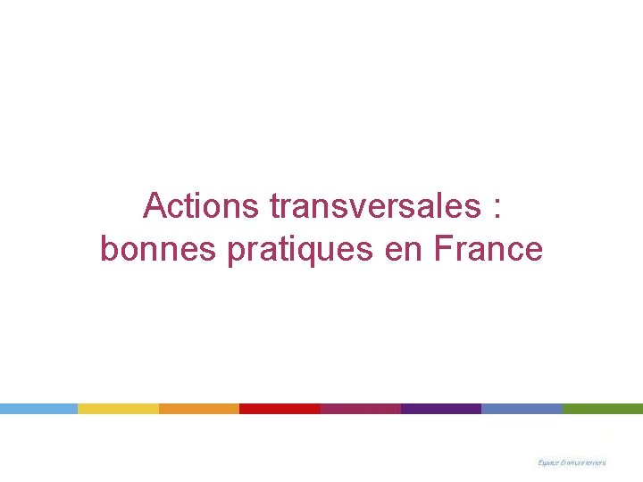 Actions transversales : bonnes pratiques en France 