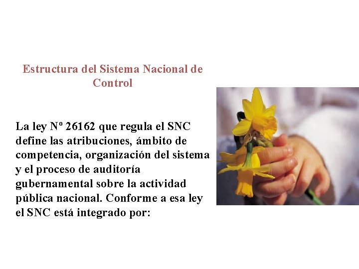 Estructura del Sistema Nacional de Control La ley Nº 26162 que regula el SNC Estructura del Sistema Nacional de Control La ley Nº 26162 que regula el SNC