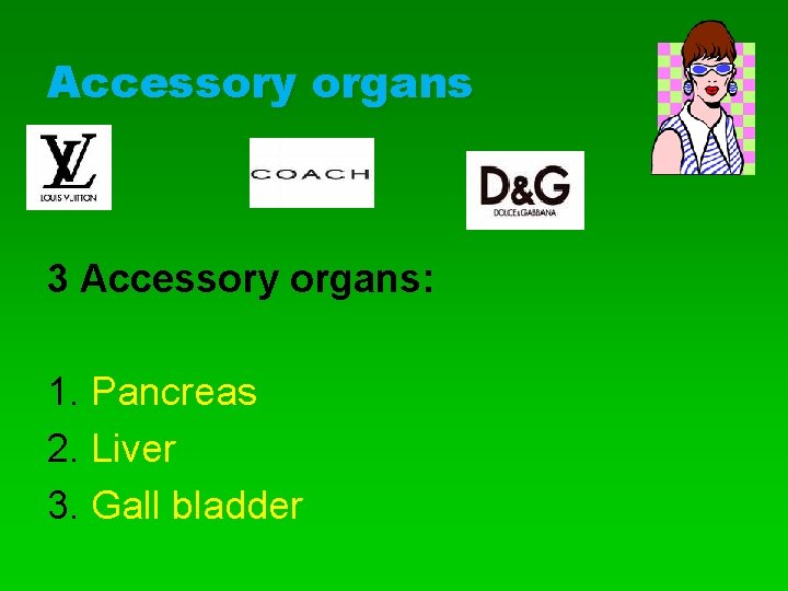 Accessory organs 3 Accessory organs: 1. Pancreas 2. Liver 3. Gall bladder 