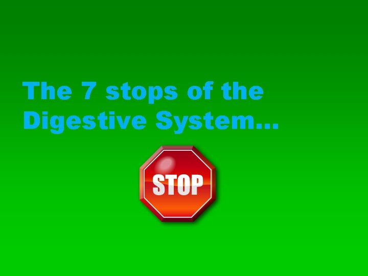 The 7 stops of the Digestive System… 