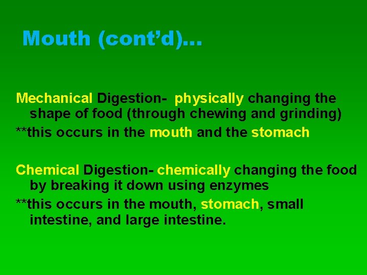 Mouth (cont’d)… Mechanical Digestion- physically changing the shape of food (through chewing and grinding)