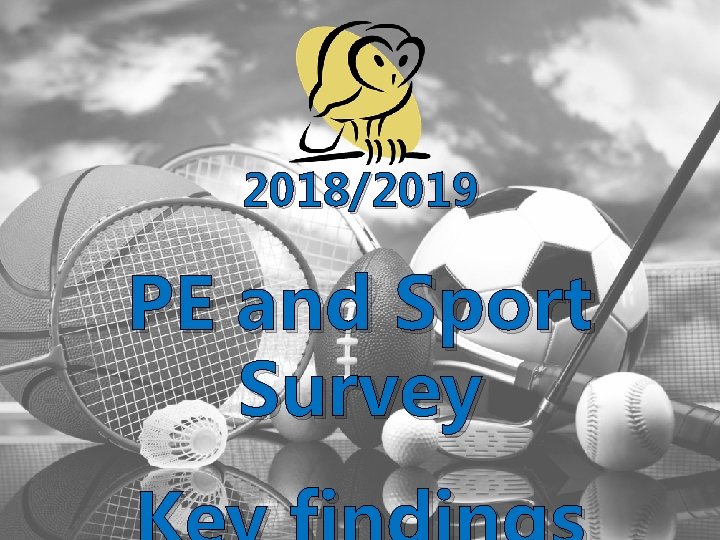 2018/2019 PE and Sport Survey 