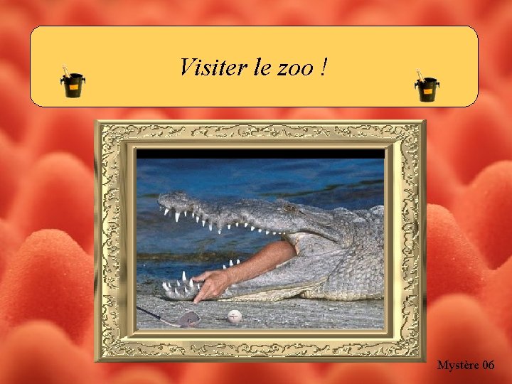 Visiter le zoo ! Mystère 06 