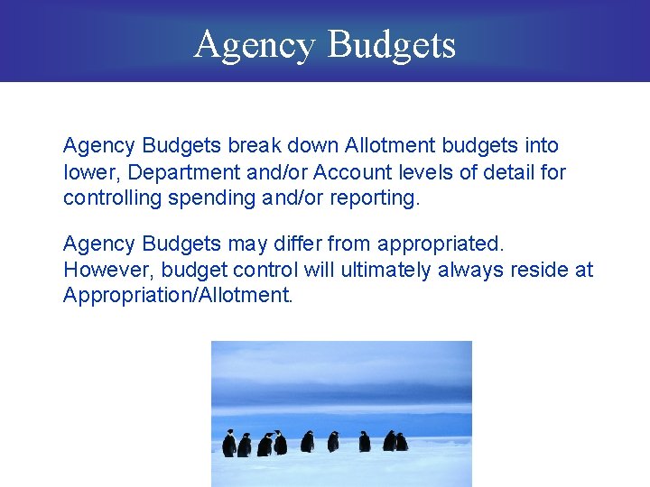 Agency Budgets break down Allotment budgets into lower, Department and/or Account levels of detail