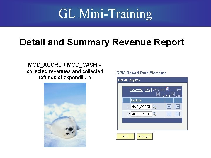 GL Mini-Training Detail and Summary Revenue Report MOD_ACCRL + MOD_CASH = collected revenues and