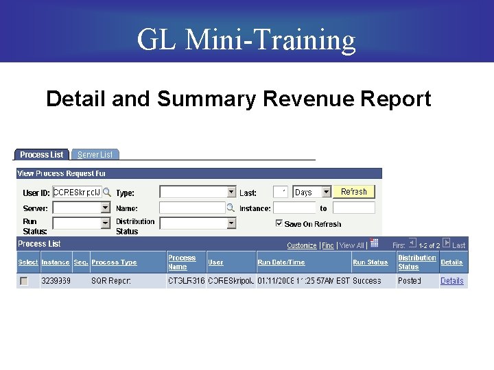 GL Mini-Training Detail and Summary Revenue Report 