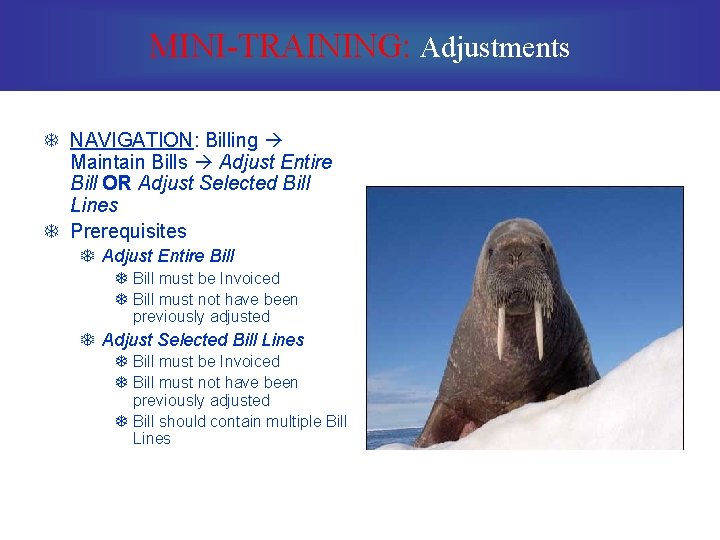 MINI-TRAINING: Adjustments T NAVIGATION: Billing Maintain Bills Adjust Entire Bill OR Adjust Selected Bill