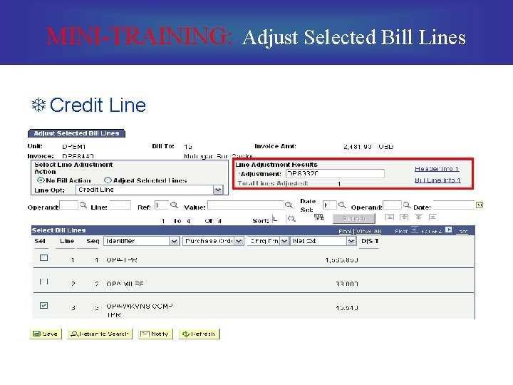 MINI-TRAINING: Adjust Selected Bill Lines T Credit Line 