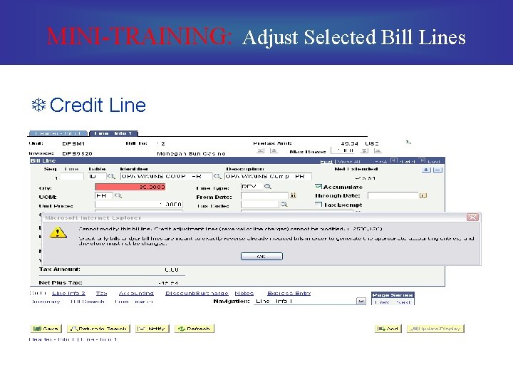 MINI-TRAINING: Adjust Selected Bill Lines T Credit Line 